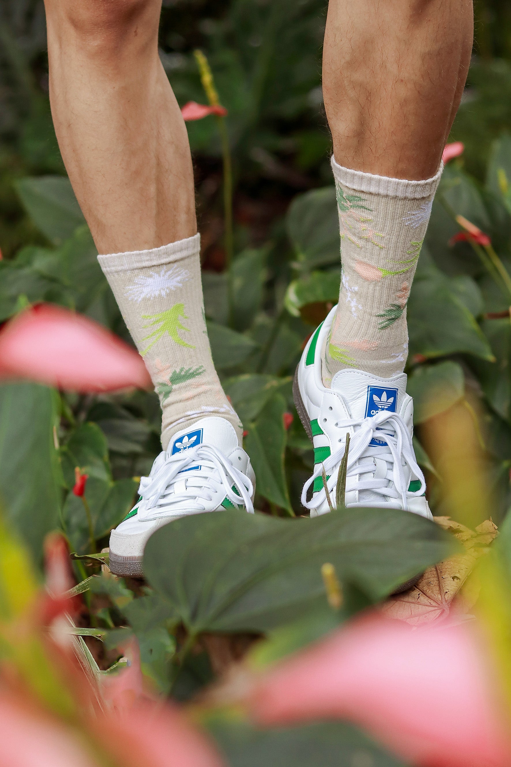 BROMELIAS SOCKS