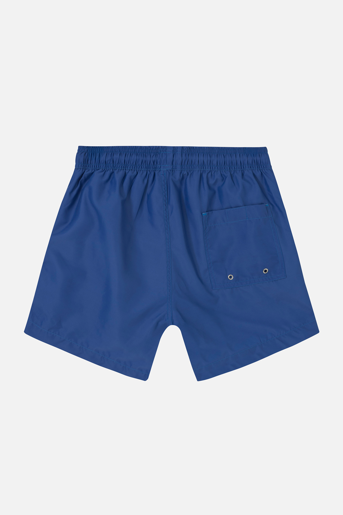 TROPICS TRUNK